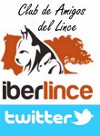 Twitter do Clube de Amigos do Lince